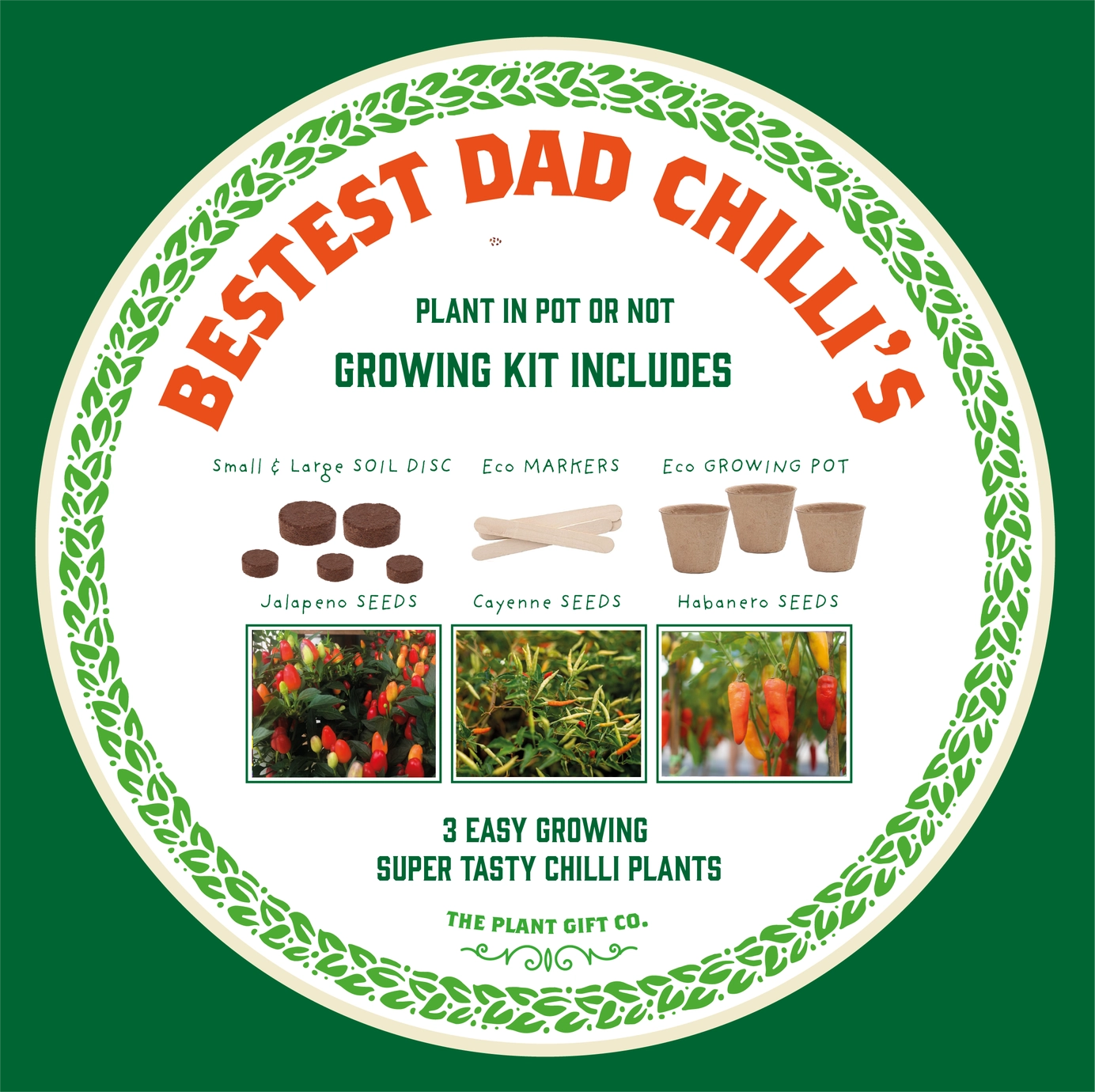 Number 1 Dad - grow your own chilli plants kit